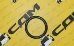 Кольцо уплотнительное пальца тормозной колодки C7H,T5G WG9761450143